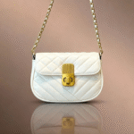 حقيبة كتف صغيرة